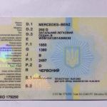 Украинские документы!